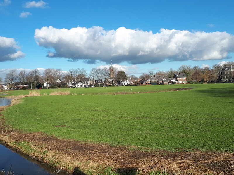 Het nu lege weiland/kasteelveld van Kronenburg