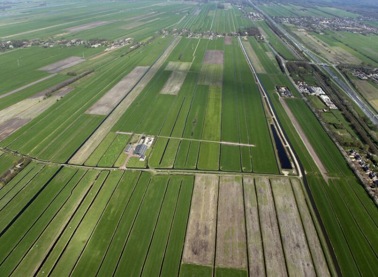 Slagenlandschap