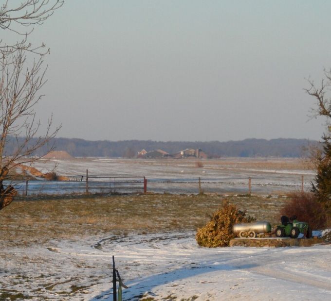 Zicht vanaf Westbroek op de hoge bomenrij op de zandgronden van het Gooi