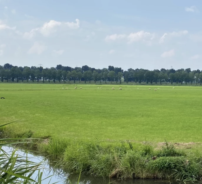 Aetsveldse polder