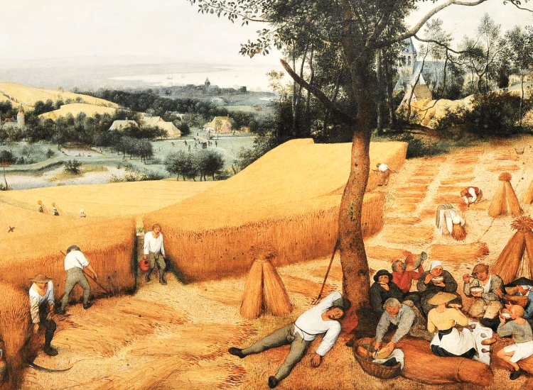 De oogst door Brueghel, een mooi voorbeeld van middeleeuws boeren