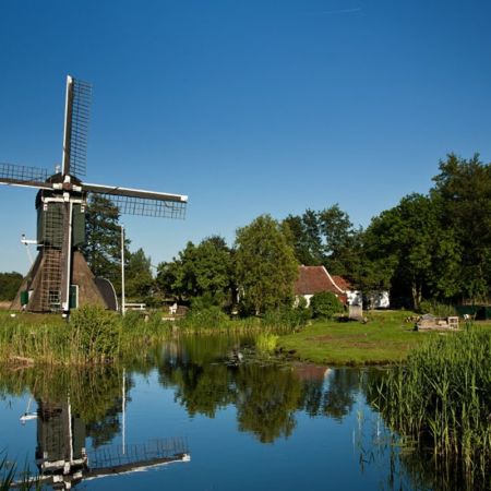 Molen de Trouwe Wachter in tienhoven